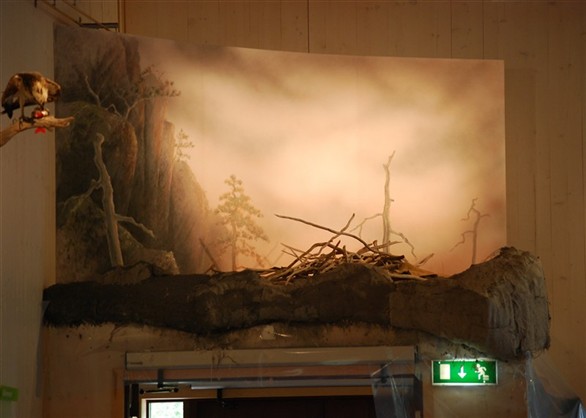berget v&auml;xer