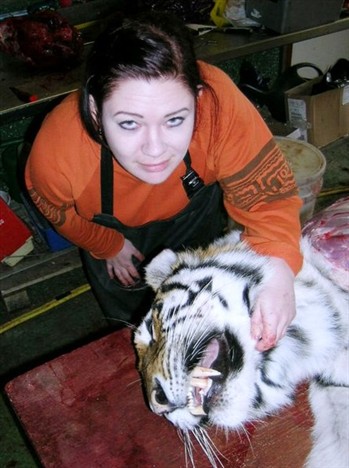 Konservator JS, Lenore o tiger