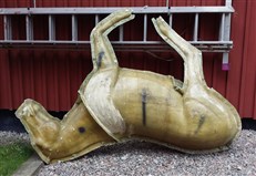 h&auml;st Konservator JS