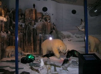 Isbj&ouml;rnsdiorama Konservator JS