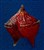 MO Peridinium sp. 800gr.jpg