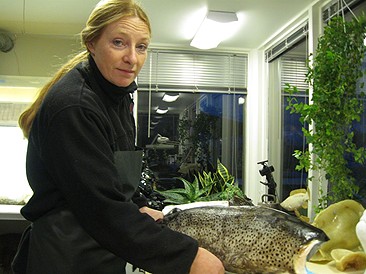 Konservator JS i Naturmorgon